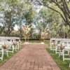 XL Focal Arrangement - vertical big impact floral arrangement - Image 3