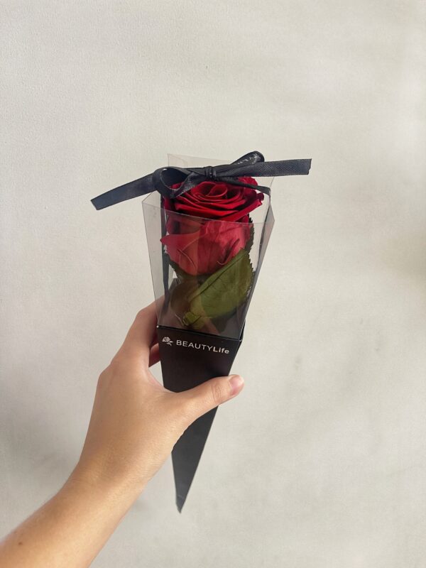 Valentines Preserved REAL rose with stem in box - Image 2