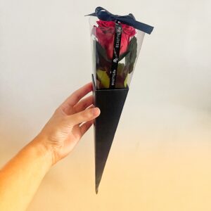 Preserved REAL rose with stem in box