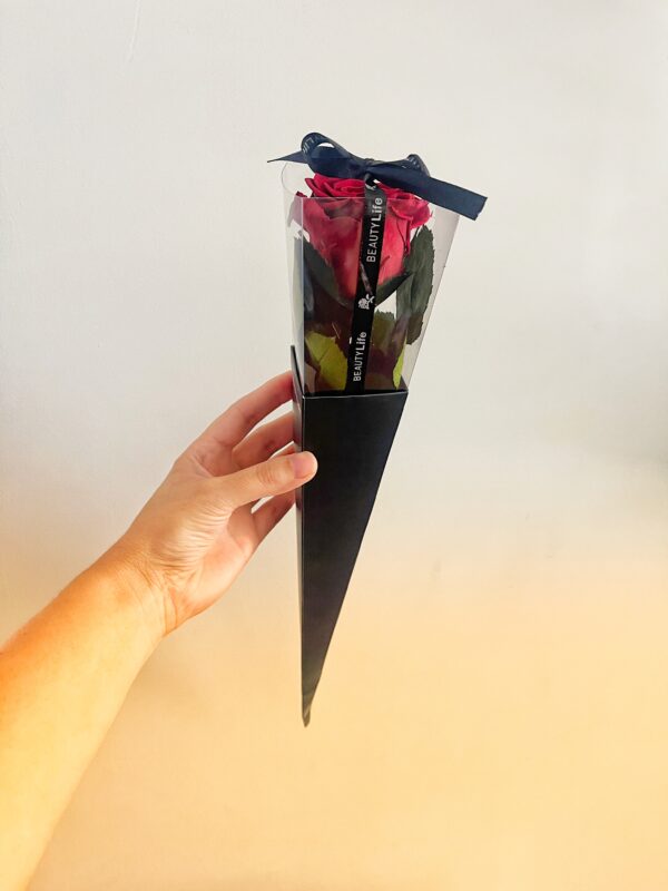 Valentines Preserved REAL rose with stem in box - Image 3