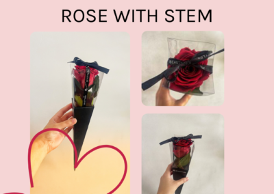 Valentines Preserved REAL rose with stem in box