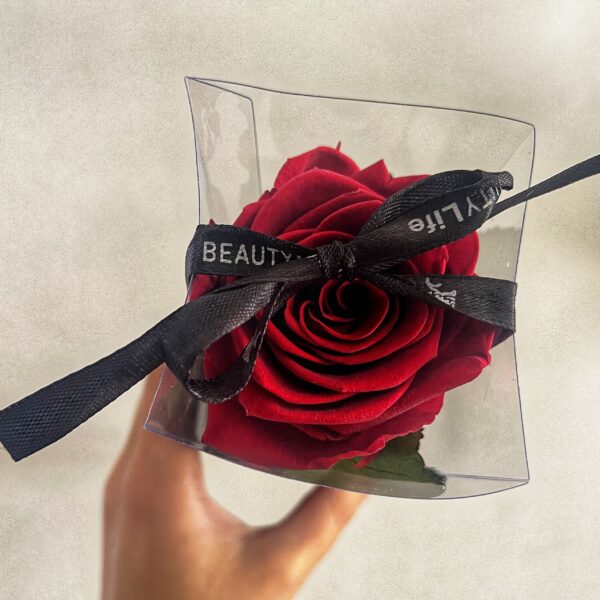 Valentines Preserved REAL rose with stem in box - Image 4