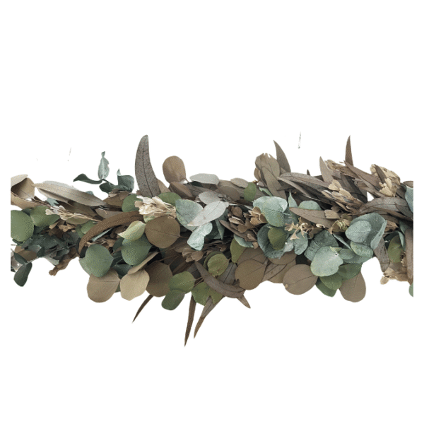 Preserved Eucalyptus Foliage Garlands - standard (about 1m long)