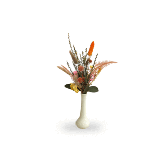 Mini Spray- Native