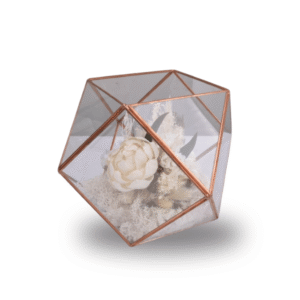 Terrarium Centrepiece Medium - Classic