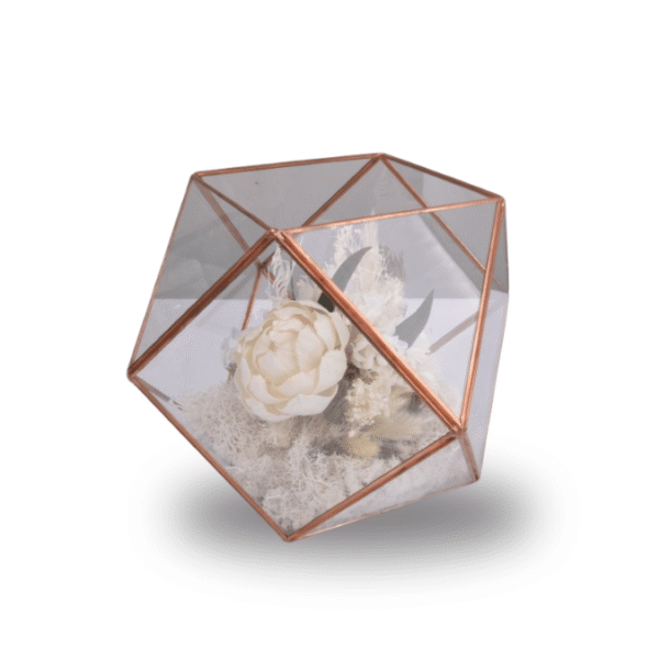 Terrarium Centrepiece Medium - Classic