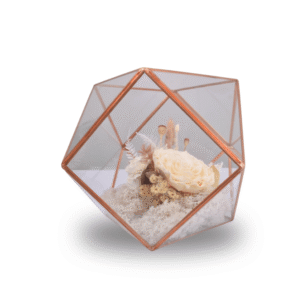 Terrarium Centrepiece medium - Lux Glamour