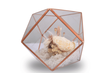 Terrarium Centrepiece medium – Lux Glamour