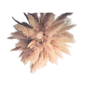Pampas Cloud - Hanging floral arrangement XL